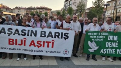 İnsan Hakları Derneği (İHD) Bingöl Şubesi öncülüğünde 1 Eylül Dünya