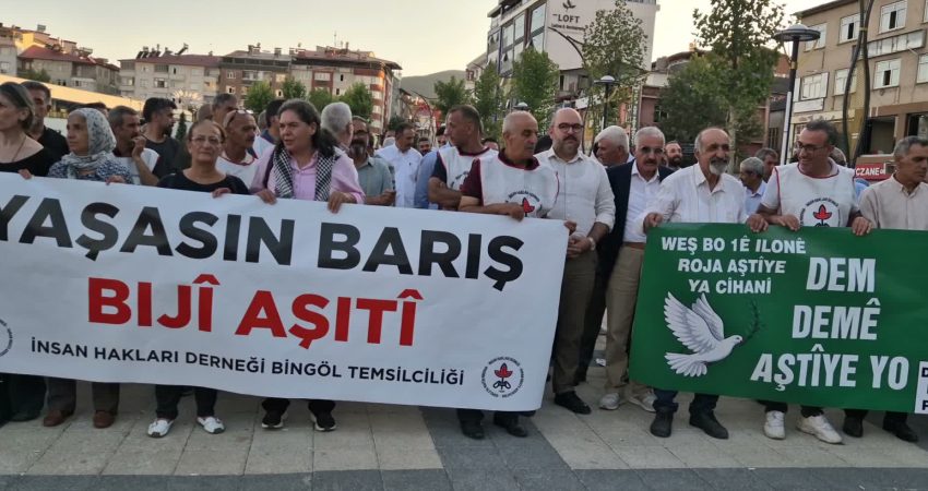 İnsan Hakları Derneği (İHD) Bingöl Şubesi öncülüğünde 1 Eylül Dünya
