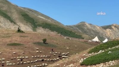 Bingöl sınırında bulunan Kızılmescit Yaylası’nda hayvancılık yapan 23 yaşındaki Halime