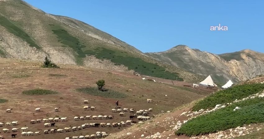 Bir yandan hayvancılık yapıyor diğer yandan KPSS’ye hazırlanıyor: “Ben de arkadaşlarımla tatile gitmeyi isterim” Bingöl sınırında bulunan Kızılmescit Yaylası’nda hayvancılık yapan 23 yaşındaki Halime