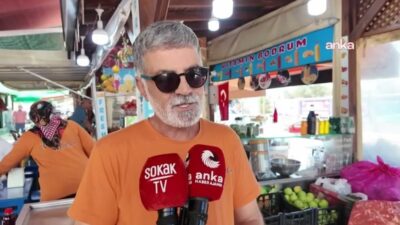 Muğla’da zeytin ve narenciye üreticileri, ürün fiyatları karşısında hasat maliyetlerinin