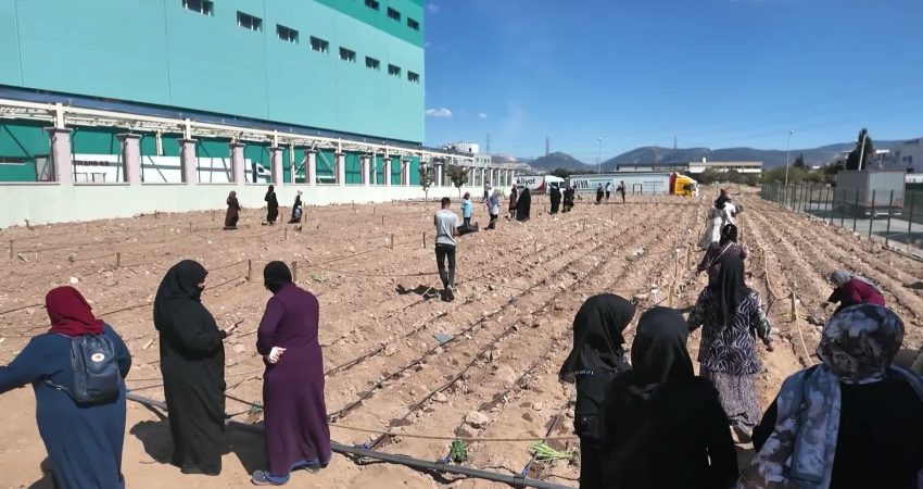 Bornova Belediyesi, Avrupa Hareketlilik Haftası kapsamında ilçenin dört bir yanında