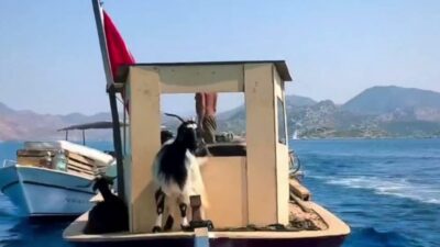Marmaris’in balıkçılık ve turizm kasabası Bozburun’da yaklaşık bir asırdır sürdürülen