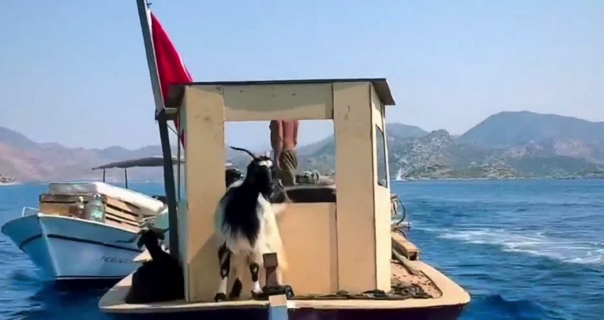 Marmaris’in balıkçılık ve turizm kasabası Bozburun’da yaklaşık bir asırdır sürdürülen