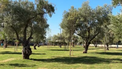İzmir Büyükşehir Belediyesi, Buca’da yıllardır atıl durumda bulunan 22 bin