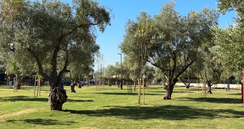 İzmir Büyükşehir Belediyesi, Buca’da yıllardır atıl durumda bulunan 22 bin