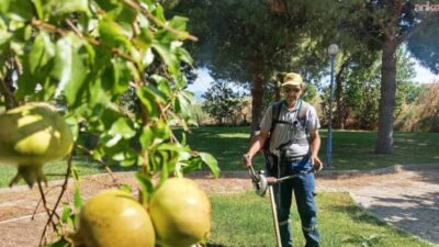 Burhaniye Belediyesi Park ve Bahçeler Müdürlüğü ekipleri, ilçe genelindeki park,