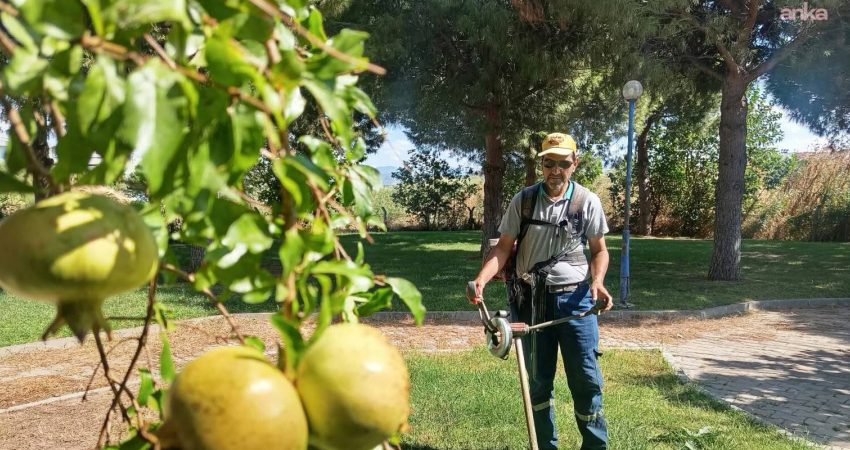 Burhaniye Belediyesi, yeşil alanlarda “bakım ve yenileme” mesaisini sürdürüyor Burhaniye Belediyesi Park ve Bahçeler Müdürlüğü ekipleri, ilçe genelindeki park,