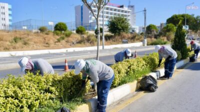 Burhaniye’de “sonbahar” mesaisi: Parklardan oyun alanlarına kapsamlı bakım Burhaniye Belediyesi, sonbaharın gelmesiyle ilçe genelindeki park, oyun grubu ve