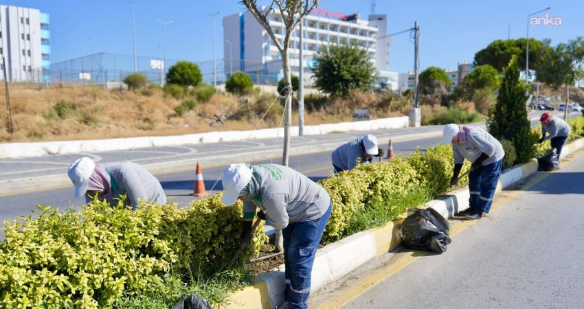 Burhaniye’de “sonbahar” mesaisi: Parklardan oyun alanlarına kapsamlı bakım Burhaniye Belediyesi, sonbaharın gelmesiyle ilçe genelindeki park, oyun grubu ve