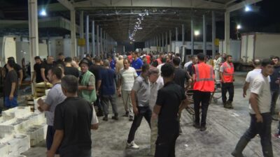 İzmirli balıkçılar dört aylık aranın ardından 1 Eylül itibarıyla “Vira