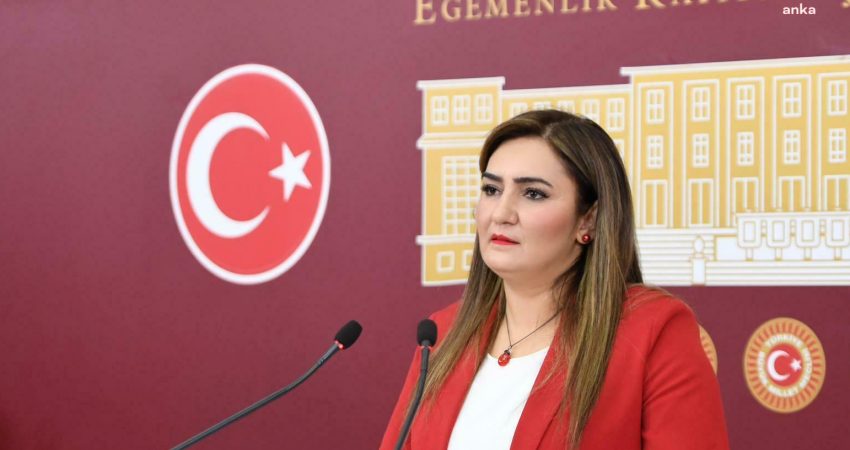 CHP Grup Başkanvekili Sevda Erdan Kılıç, Ankara Büyükşehir Belediye Başkanı