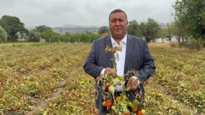 CHP Niğde Milletvekili Ömer Fethi Gürer, yıllara göre değişmekle birlikte