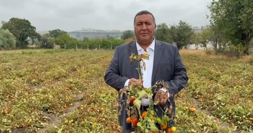 CHP Niğde Milletvekili Ömer Fethi Gürer, yıllara göre değişmekle birlikte