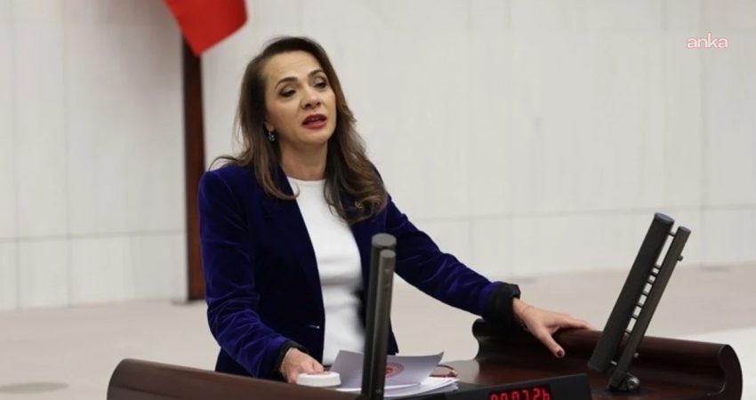 CHP Genel Başkan Yardımcısı Gamze Akkuş İlgezdi, köprü ve otoyolların özelleştirilmesine