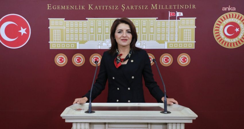 CHP Mersin Milletvekili Gülcan Kış, Karadeniz’de yaşanan güvenlik sorunları nedeniyle