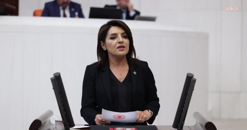 CHP Mersin Milletvekili Gülcan Kış, "fon skandalı"nı TBMM gündemine taşıdı.