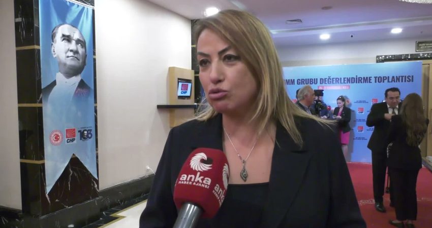 CHP Hatay Milletvekili Nermin Yıldırım Kara, CHP’nin milletvekili kampına ilişkin,