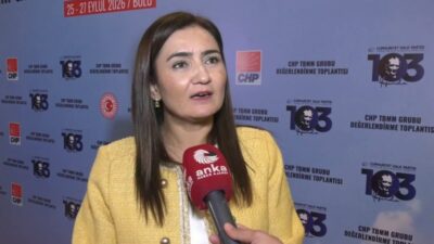 CHP Grup Başkanvekili Sevda Erdan Kılıç, "Bizim çok kullandığımız bir