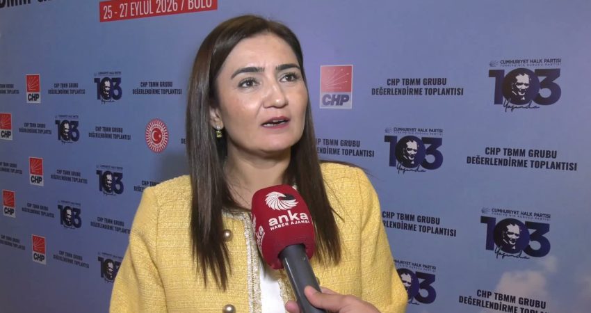 CHP Grup Başkanvekili Sevda Erdan Kılıç, "Bizim çok kullandığımız bir