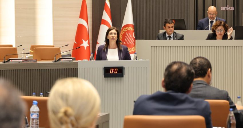 KKTC’deki Cumhuriyetçi Türk Partisi (CTP) Genel Başkanı Sıla Usar İncirli,