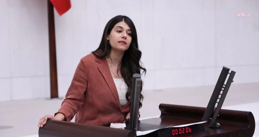 DEM Parti Milletvekili Altın, Kızıltepe’de çocukların bulunduğu eve baskını Meclis gündemine taşıdı DEM Parti Mardin Milletvekili Beritan Güneş Altın, Mardin’in Kızıltepe ilçesinde