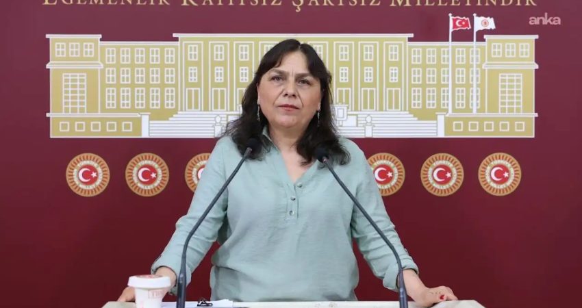 DEM Parti İstanbul Milletvekili Özgül Saki, "Ailem Güvende" adıyla yürütülen