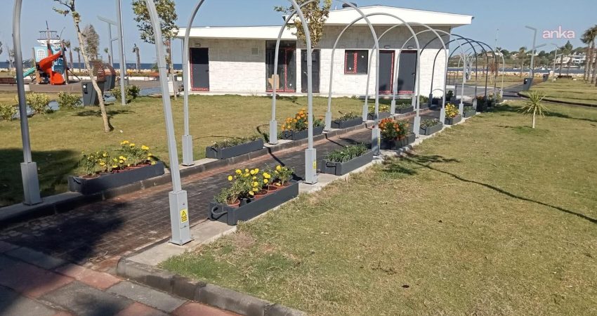 Didim Belediyesi’nin yetiştirdiği bitkiler ilçedeki yeşil alanlarda kullanılıyor Didim Belediyesi, Akköy Tıbbi Aromatik Bitkiler ve Süs Bitkileri Fidanlığı’nda