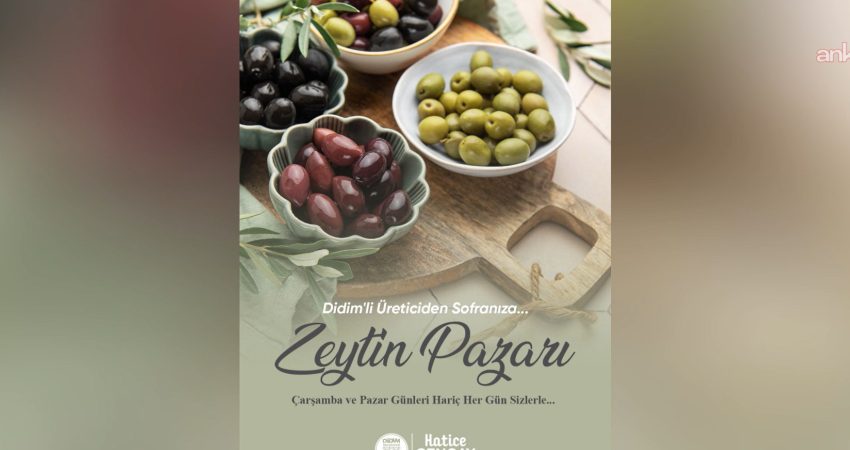Didim Belediyesi tarafından zeytin üreticilerinin ürünlerini doğrudan tüketiciyle buluşturması amacıyla