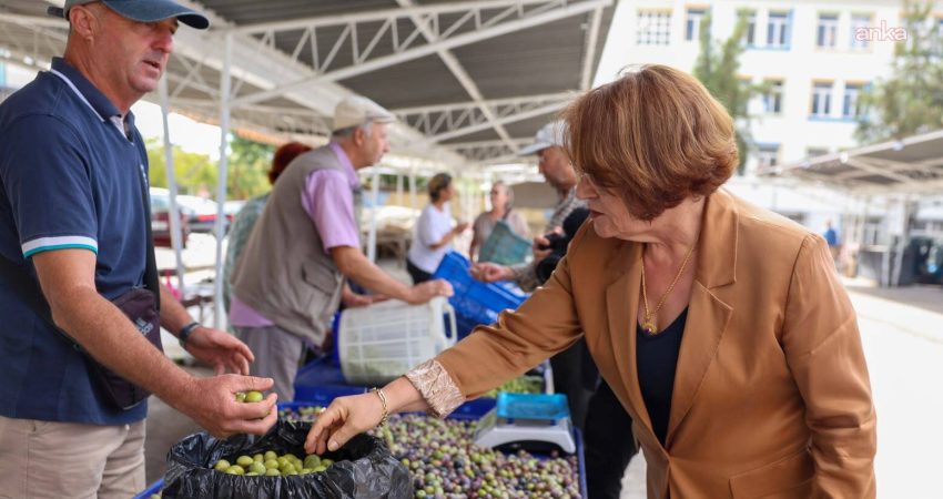 Didim Belediyesi tarafından zeytin üreticilerinin ürünlerini doğrudan tüketiciye sunabilmesi amacıyla