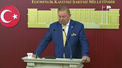 Yeniden Refah Partisi Genel Başkan Yardımcısı ve İstanbul Milletvekili Doğan