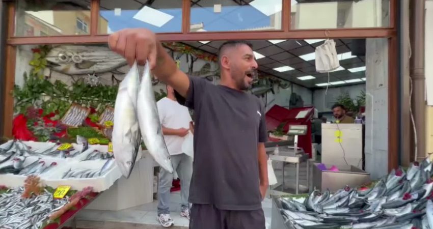 Edirne’de balıkçı tezgahlarında palamut bolluğu yaşanıyor. Balık Pazarı’nda adet fiyatı