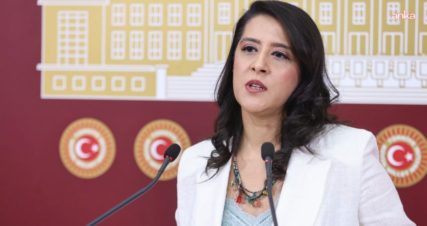 Emek Partisi (EMEP) Gaziantep Milletvekili Sevda Karaca, Sayıştay'ın Van Yüzüncü