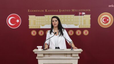 EMEP Gaziantep Milletvekili Sevda Karaca, 335 sivil toplum kuruluşunun ortak