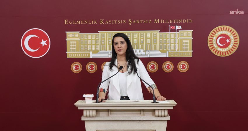 EMEP Gaziantep Milletvekili Sevda Karaca, 335 sivil toplum kuruluşunun ortak