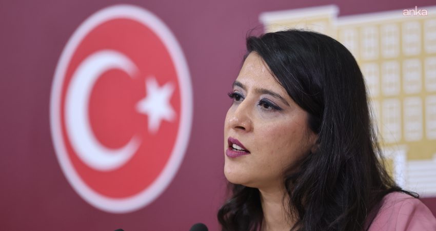 EMEP Gaziantep Milletvekili Sevda Karaca, LGBTİ dernekleri ve hak savunucularına
