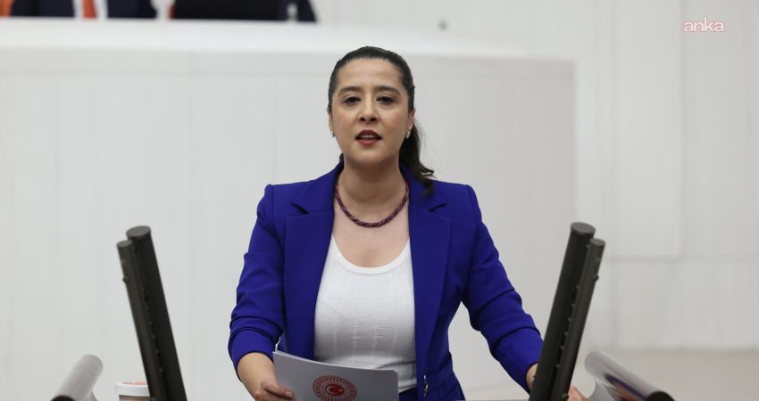 EMEP Gaziantep Milletvekili Sevda Karaca, Tunceli Belediyesi'ne kayyım atanmasının ardından