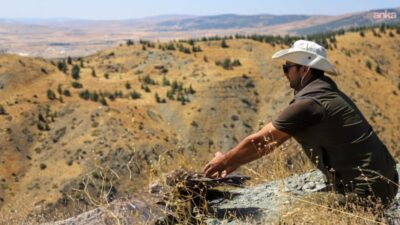 Eskişehir Büyükşehir Belediyesi Hayvanat Bahçesi, tedavi edilip rehabilitasyon süreci tamamlanan