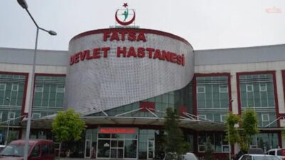 Tabip ve Diğer Sağlık Çalışanları, Sağlık ve Sosyal Hizmetler Kamu