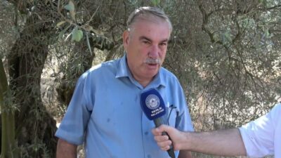 33. Uluslararası Gemlik Zeytini Festivali kapsamında düzenlenen "Zeytin Rotası Keşif