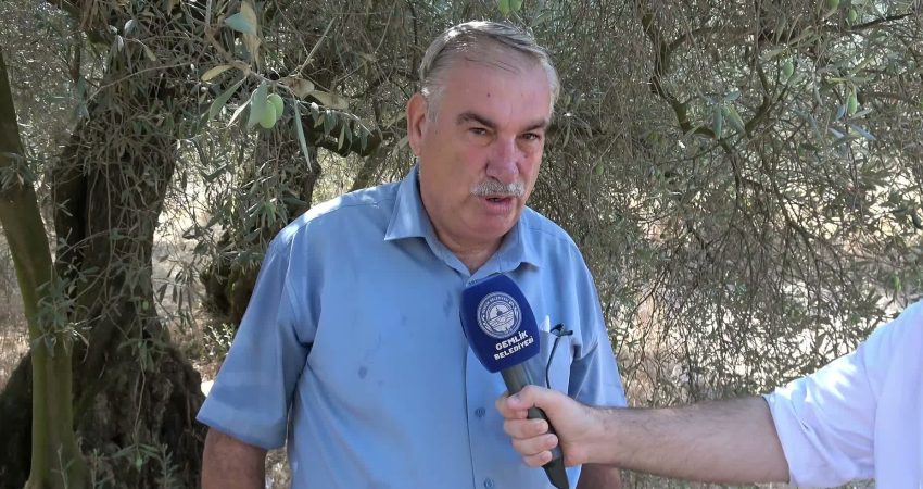 Gemlik’te “Zeytin Rotası Keşif Yürüyüşü” düzenlendi 33. Uluslararası Gemlik Zeytini Festivali kapsamında düzenlenen "Zeytin Rotası Keşif