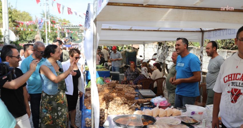 Selçuk’ta bu yıl yeniden düzenlenecek Gökçealan Osmancık Üzüm Şenliği, 20