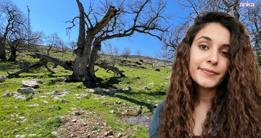 Munzur Üniversitesi öğrencisi Gülistan Doku'nun kaybolmasına ilişkin soruşturma kapsamında, adli