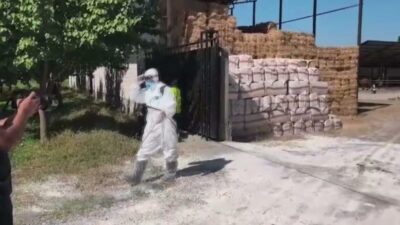 Türkiye’nin çeşitli illerinde görülen şap hastalığına karşı Iğdır Tarım ve