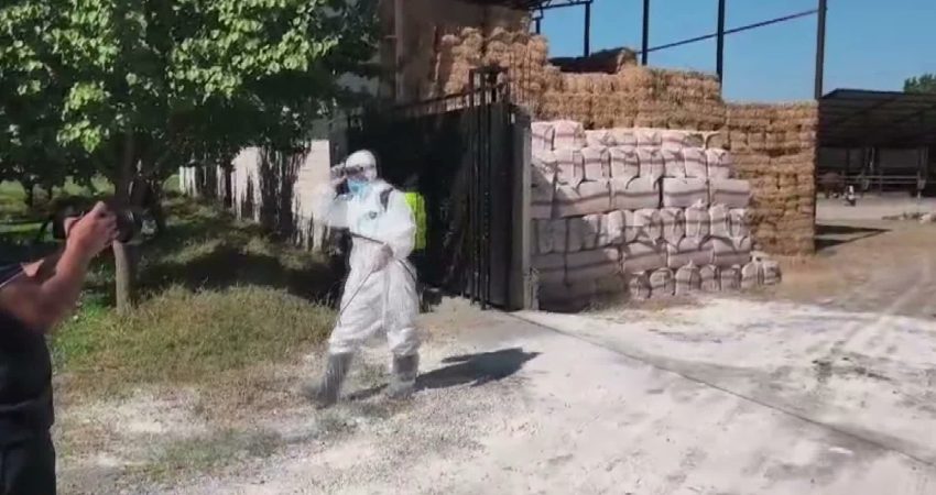Türkiye’nin çeşitli illerinde görülen şap hastalığına karşı Iğdır Tarım ve