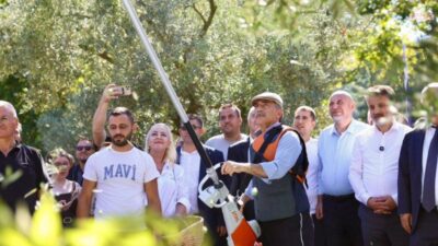 "İki İlçe Tek Miras-Orhangazi Gemlik Zeytini Festivali", Orhangazi ve Gemlik’te
