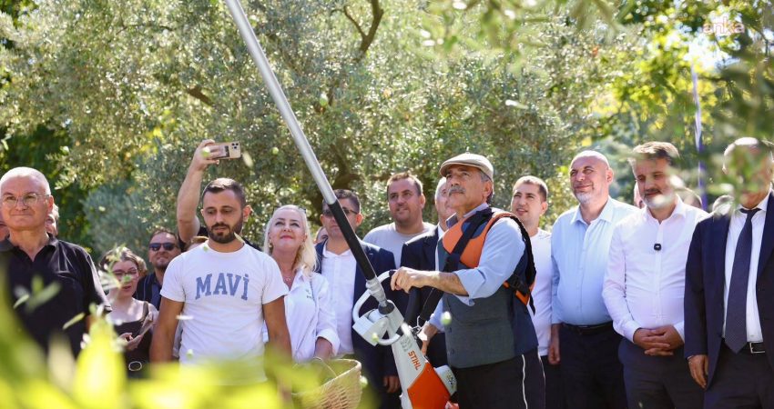 "İki İlçe Tek Miras-Orhangazi Gemlik Zeytini Festivali", Orhangazi ve Gemlik’te