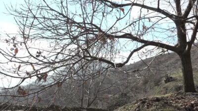 İzmir Büyükşehir Belediyesi, tarımda verimliliği artırmak ve çiftçinin emeğini korumak