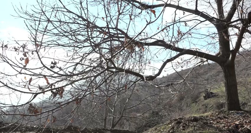İzmir Büyükşehir Belediyesi, tarımda verimliliği artırmak ve çiftçinin emeğini korumak