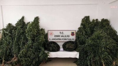 İzmir’in Kiraz ilçesinde jandarmanın düzenlediği operasyonda, 13 kilo 400 gram